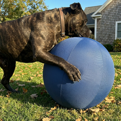 Barko™ - Voor honden die gewone ballen binnen no-time slopen.