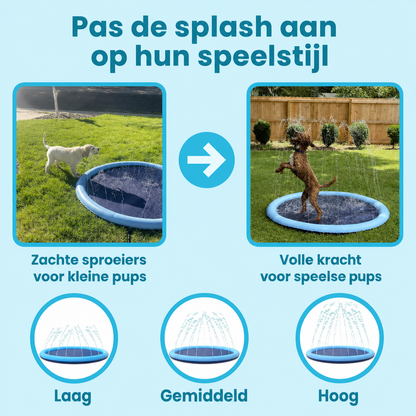 SplashPaws™ - De leukste manier om je hond koel te houden