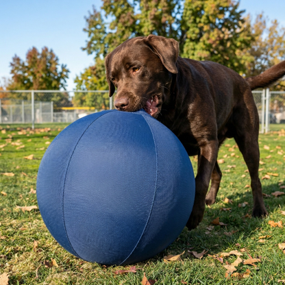 Barko™ - Voor honden die gewone ballen binnen no-time slopen.
