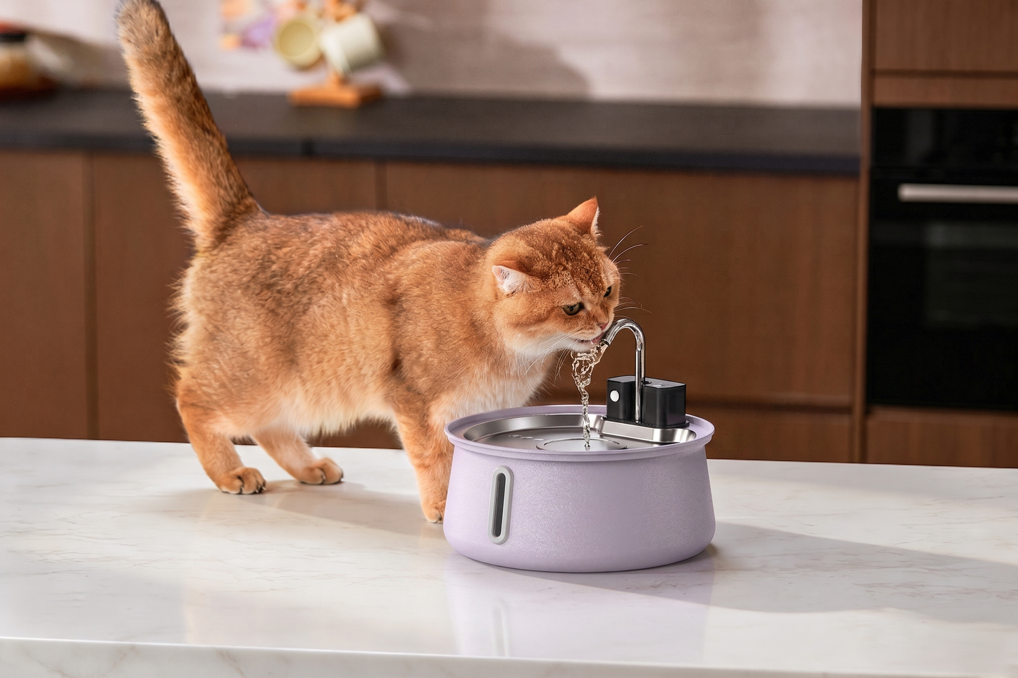PurrSpring™ - Help je kat meer te drinken met vers stromend water