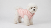 variant_roze_fixed